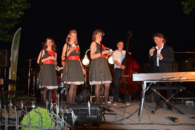 min 2015 06 05 bad ischl 079